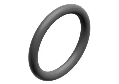 Schwarzer O-Ring mit gleichmäßiger runder Form, typisches Dichtungselement, geeignet für verschiedene Anwendungen, erkennbar als Produkt von Bosch.
